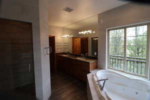 Bathroom with a sink, a tub with jets, a shower stall, and visible vents