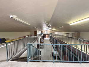 View of horse barn