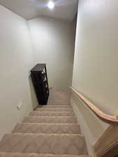 Staircase featuring carpet floors