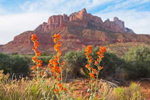 View of mountain feature