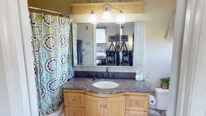 Full bathroom featuring toilet, vanity, and a shower with curtain