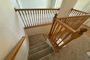 Staircase with carpet flooring
