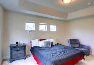 Bedroom featuring baseboards, a raised ceiling, and carpet