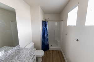 Bathroom featuring vanity, toilet, wood finished floors, and a shower with curtain
