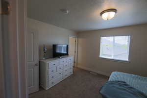 Carpeted bedroom with a textured ceiling, visible vents, and baseboards