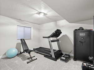 Basement bedroom or exercise room