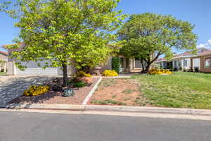 View of property hidden behind natural elements with a front lawn, driveway, stucco siding, and an attached garage