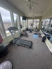 Exercise room featuring carpet flooring, baseboards, and ceiling fan