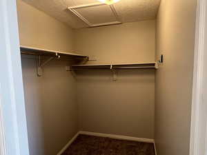 Walk in closet featuring carpet flooring