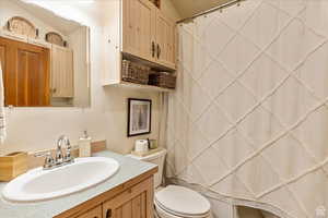 Full bathroom featuring toilet, a shower with curtain, and vanity