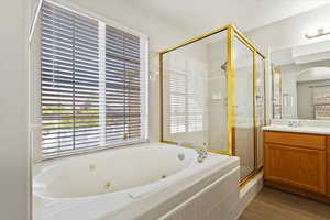 Primary bathroom featuring vanity, a shower stall, a tub with jets, and a wealth of natural light