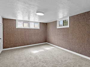 Basement featuring a textured ceiling, plenty of natural light, carpet floors, and baseboards