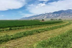 Property view of mountains featuring a rural view