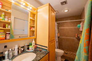 Full bathroom featuring vanity, toilet, visible vents, and a tile shower
