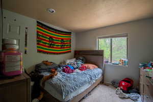 Bedroom with carpet flooring and a textured ceiling