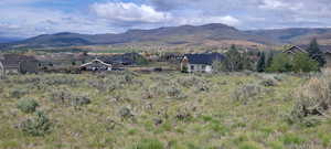 View looking north