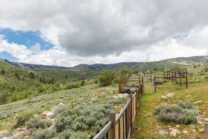 View of mountain background