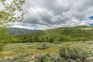 Mountain view