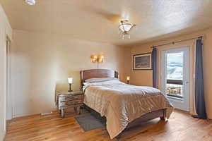 Bedroom with a textured ceiling, access to exterior, visible vents, baseboards, and light wood-style floors