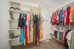 Photo 23 of 125 E CHRISTLEY LN