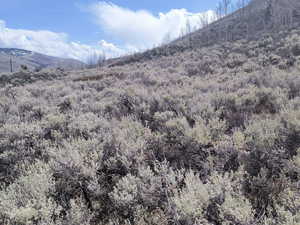 View of mountain feature