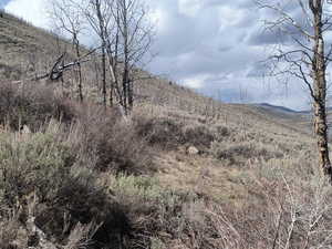 View near the S.E. corner of property looking N.W.