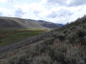 View of Scofield Town to the S.E.