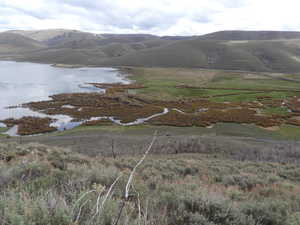 View looking N.E. from S.W. corner of property.