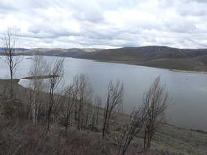 Looking N.E. from N.W. corner of property.