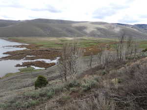 View from the N.W corner of property looking S.E.