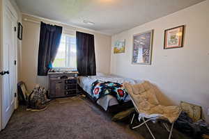 Carpeted bedroom featuring a textured ceiling and visible vents