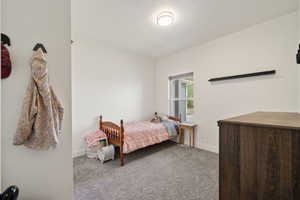 Bedroom featuring baseboards and carpet floors