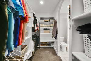 Spacious closet with arched walkways and carpet floors