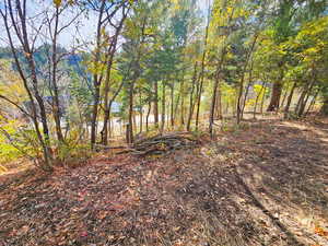 View of nature