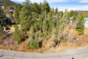 Aerial view featuring a view of trees