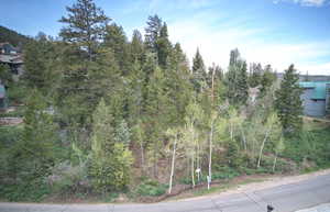 View of asphalt road with a wooded view