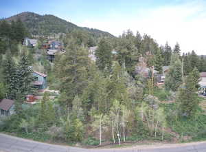 View of mountain background with a heavily wooded area