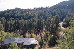 Aerial view with a forest view