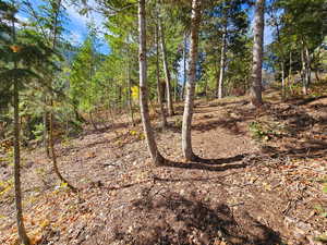 View of nature