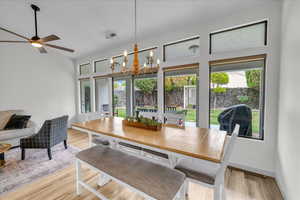 Dining space with ceiling fan with notable chandelier, plenty of natural light, and light wood-style floors