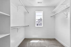 Spacious closet with carpet