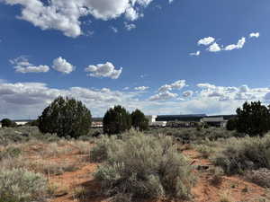 View of local wilderness