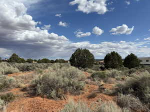 View of local wilderness