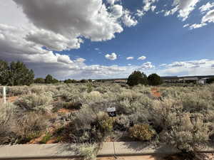 View of local wilderness