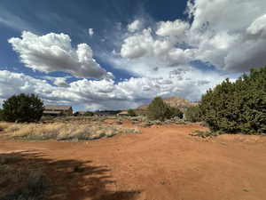 View of local wilderness