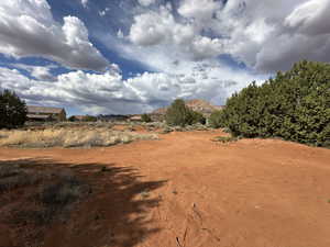 View of local wilderness