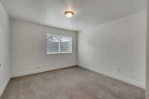 Spare room with light colored carpet, a textured ceiling, and baseboards