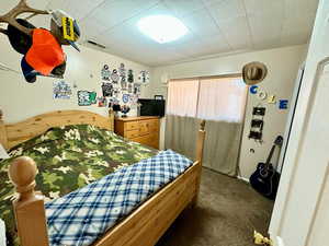 Carpeted bedroom featuring visible vents