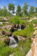 View of yard with a small pond