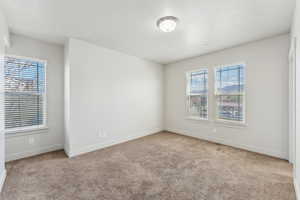 Spare room with carpet floors, baseboards, and plenty of natural light